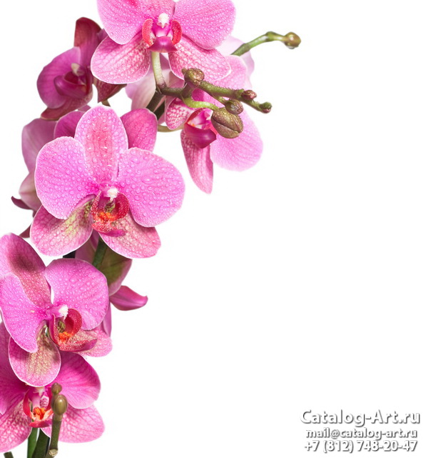 картинки для фотопечати на потолках, идеи, фото, образцы - Потолки с фотопечатью - Розовые орхидеи 74